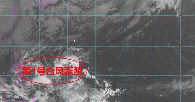 最新台风胚胎99w，影响及应对策略