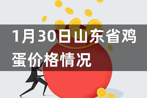 山东省鸡蛋最新价格走势分析