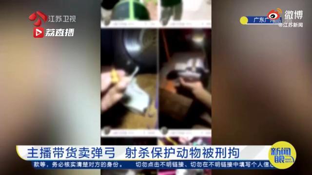 夜间狩猎新境界，最新弹弓夜晚打鸟视频探索夜间狩猎的乐趣