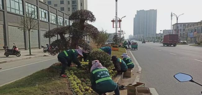 罗山县天元南路的发展与变迁最新报道