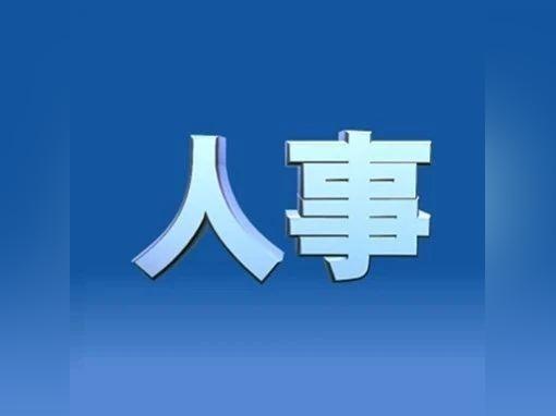 中央人事任免新动态及其深远影响分析