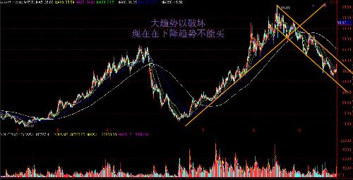 厦门法拉电子待遇最新解析