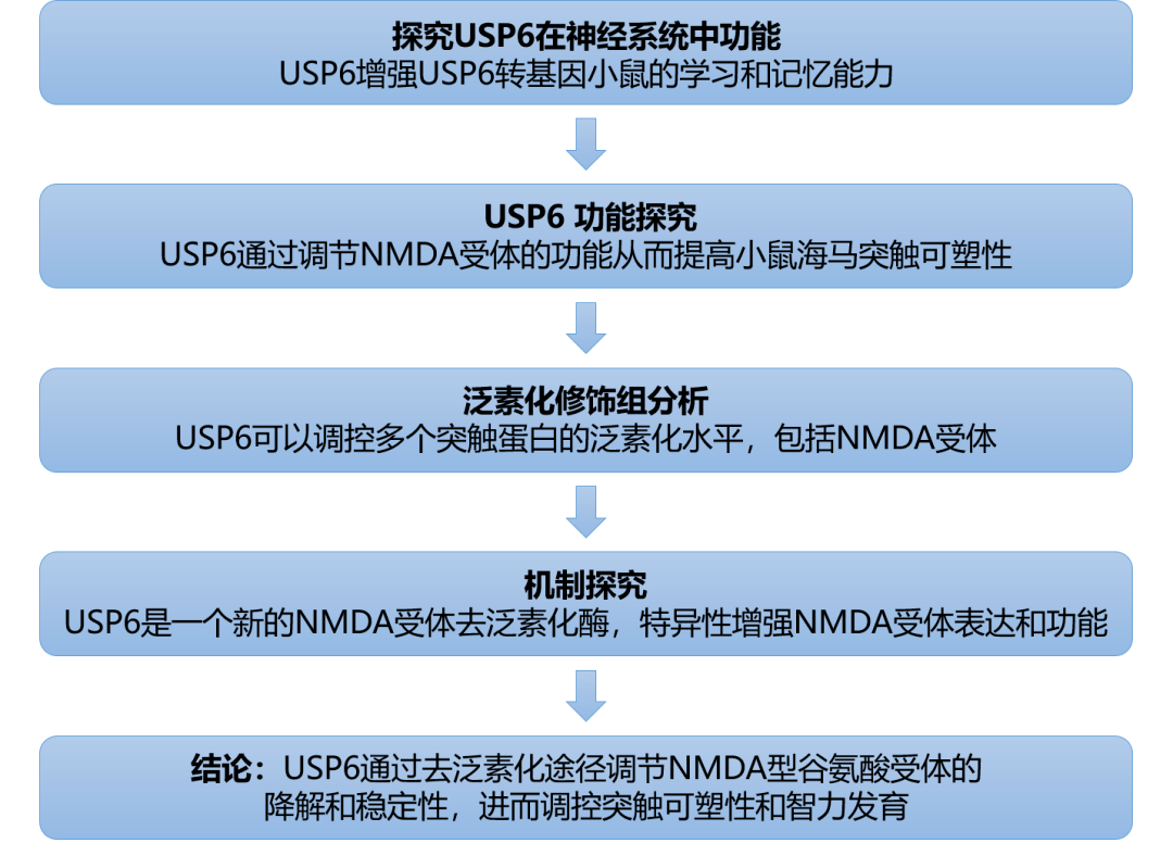 2024年11月12日 第76页