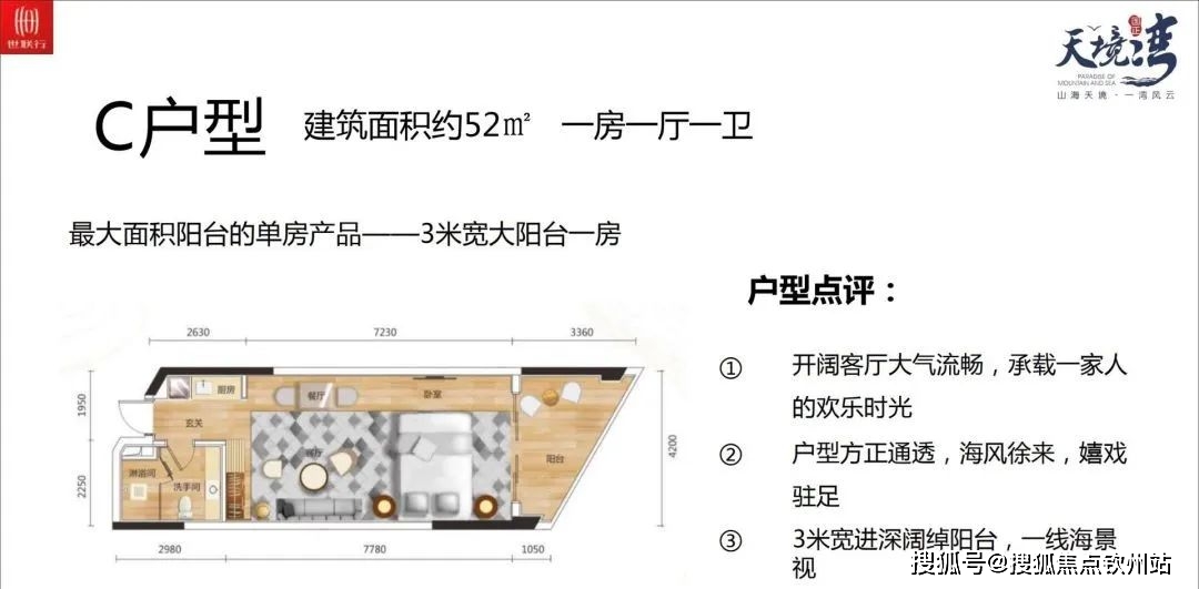 新澳免费资料大全精准版,详细解答解释定义_领航款11.880