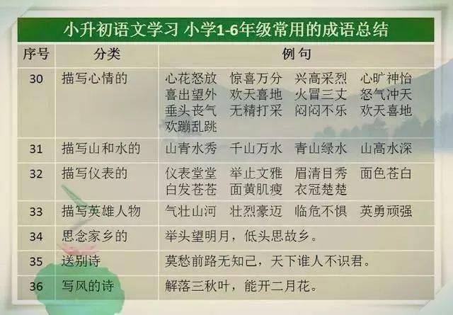 2024澳门天天开好彩大全162,收益成语分析落实_限量版65.104