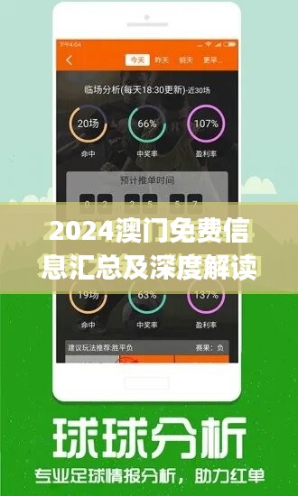 2024年澳门精准免费大全,完整的执行系统评估_苹果66.69