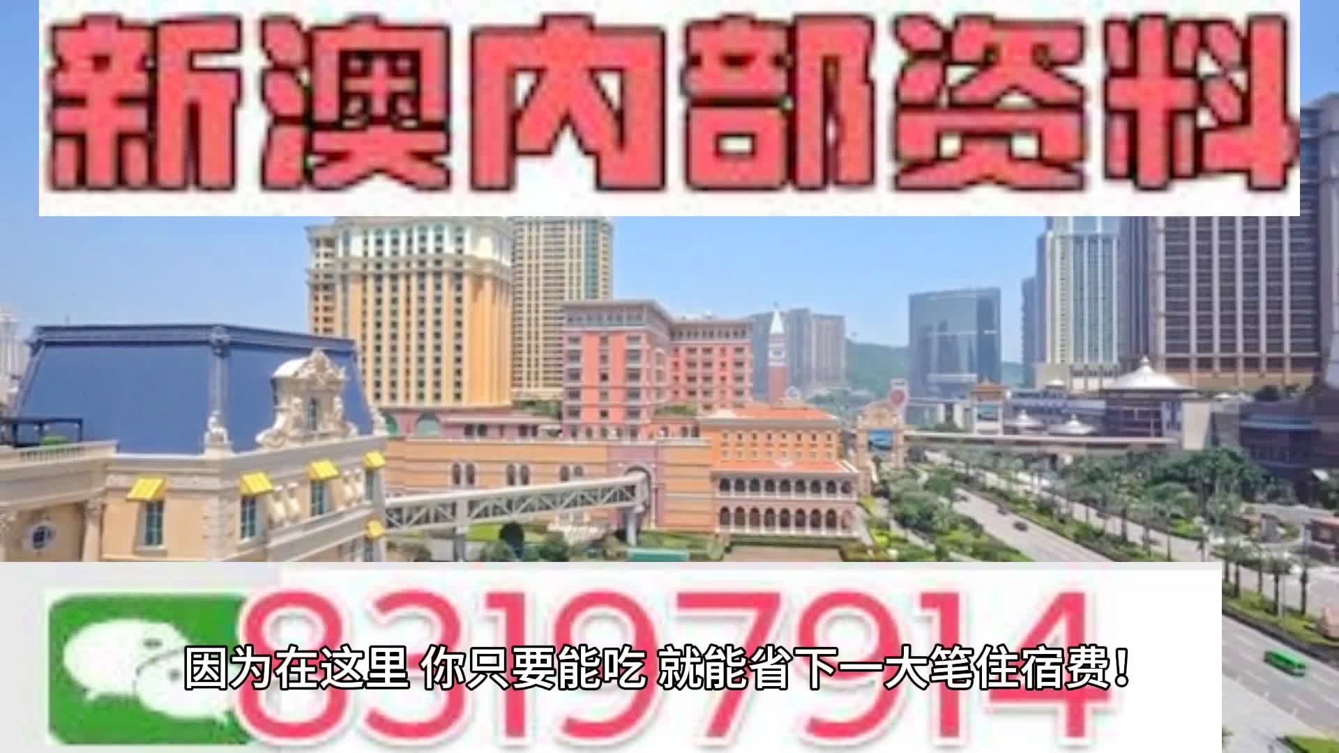 2024新澳门天天开好彩大全查,准确资料解释落实_标准版3.66