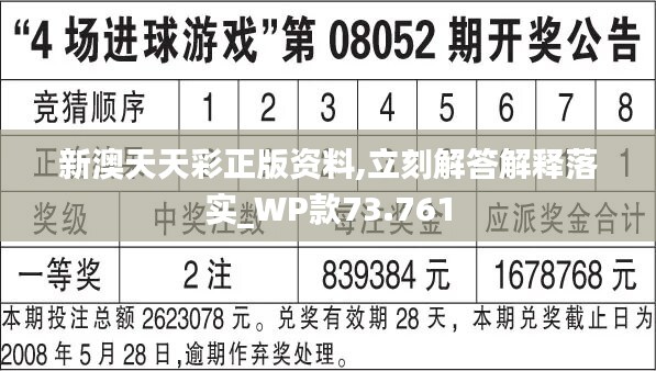 2024年正版免费天天开彩,持久设计方案策略_S69.236