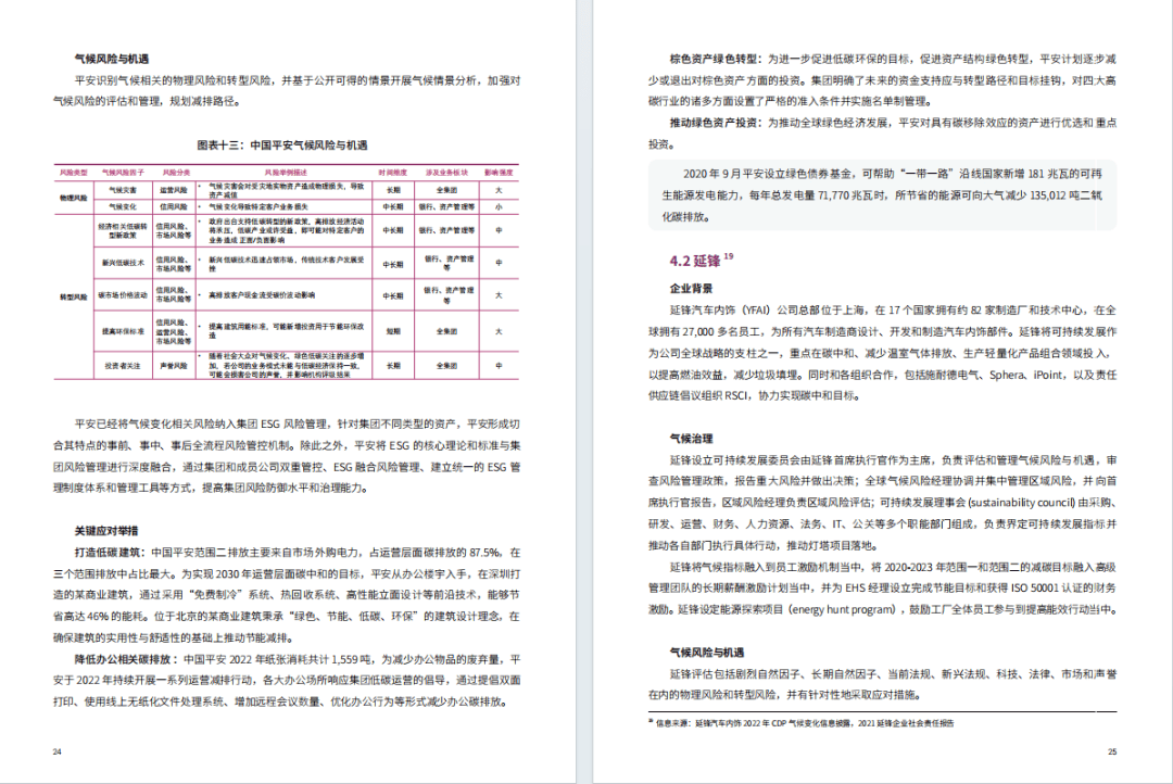 一肖一码100-准资料,实地执行考察方案_精装版52.969