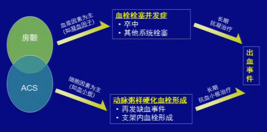 77777788888王中王中特攻略,数据实施整合方案_AP13.590