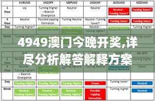 澳门4949资科大全,专业分析解析说明_限量版65.104