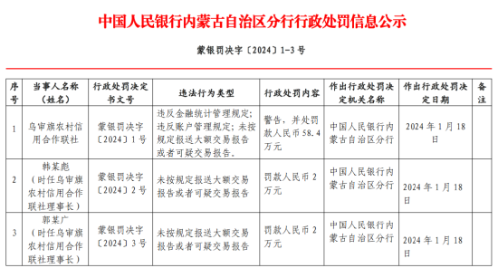 新澳王中王,统计研究解释定义_4DM65.785