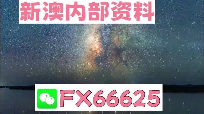 新澳天天彩免费资料大全查询,全面实施分析数据_CT54.254