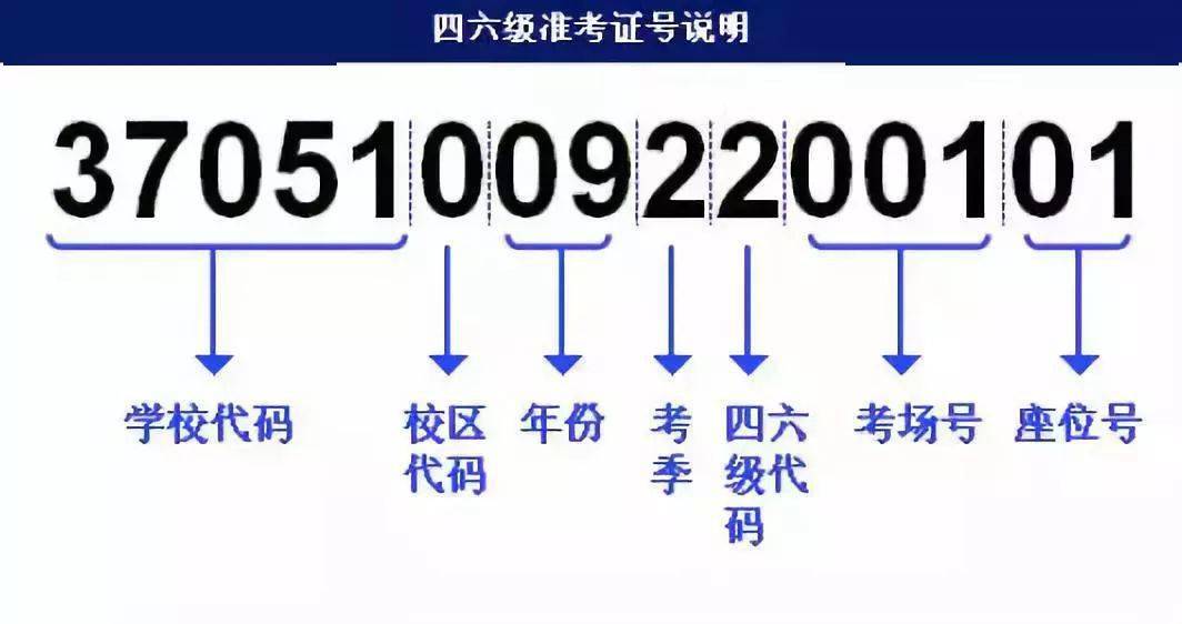 788888精准管家婆免费大全,快速问题设计方案_MR96.911