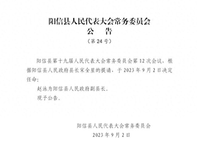 新王村委会人事大调整，重塑领导团队，村级发展迎新篇章