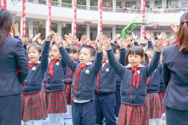 龙岗区小学最新新闻动态概览