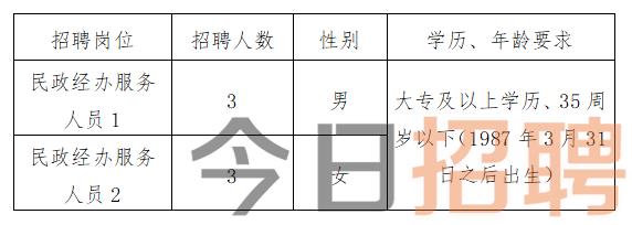 罗田县统计局最新招聘信息全面解析及招聘细节详解