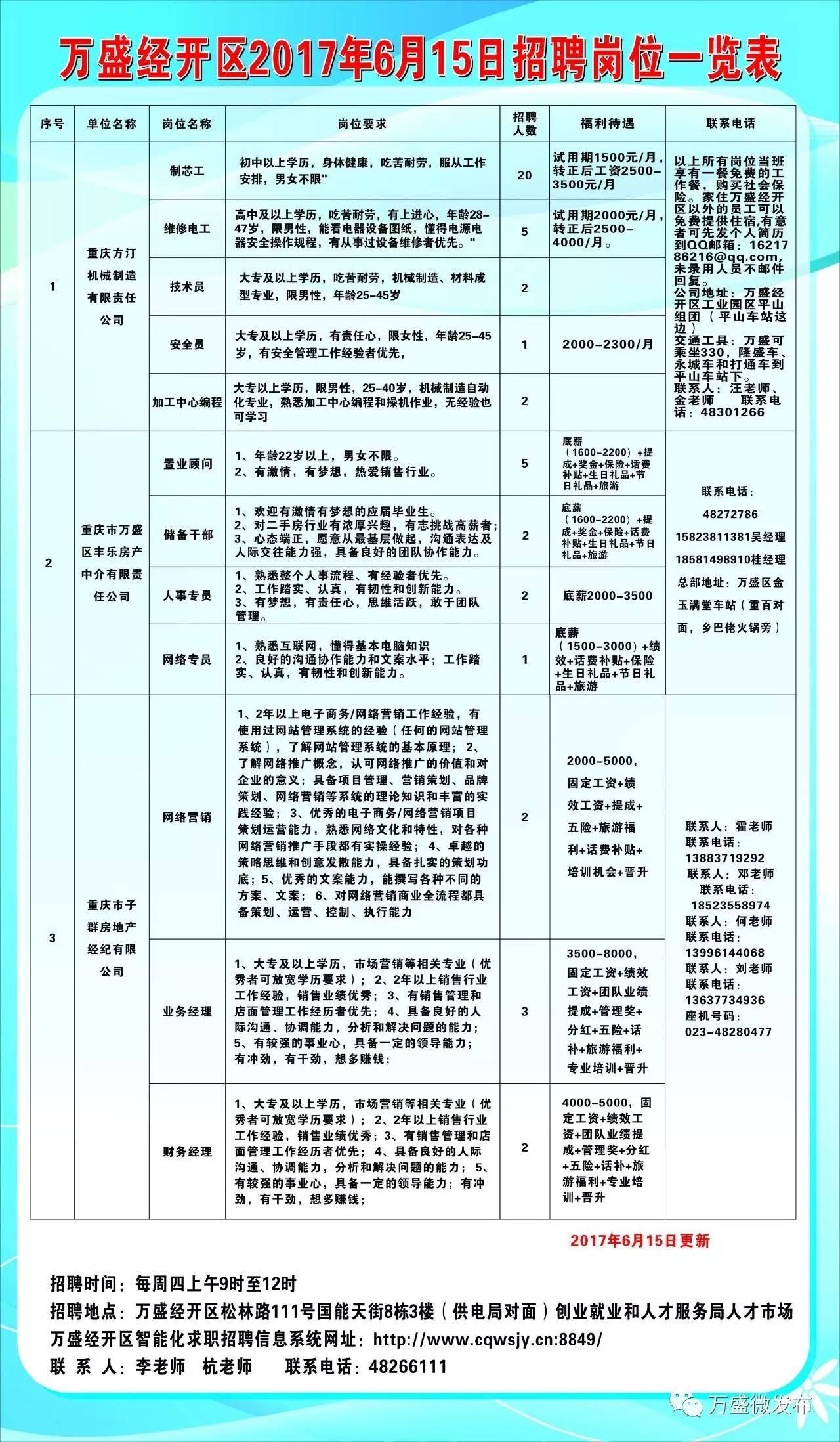 金安区统计局最新招聘启事概览