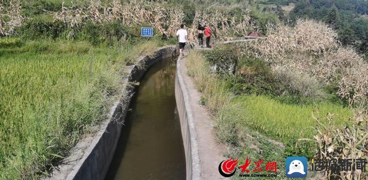 城口县水利局推动水利建设助力县域发展最新报道