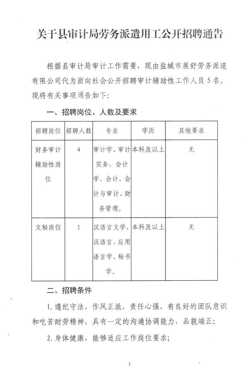 阜南县审计局最新招聘公告详解