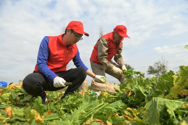 优殇绕指揉 第3页