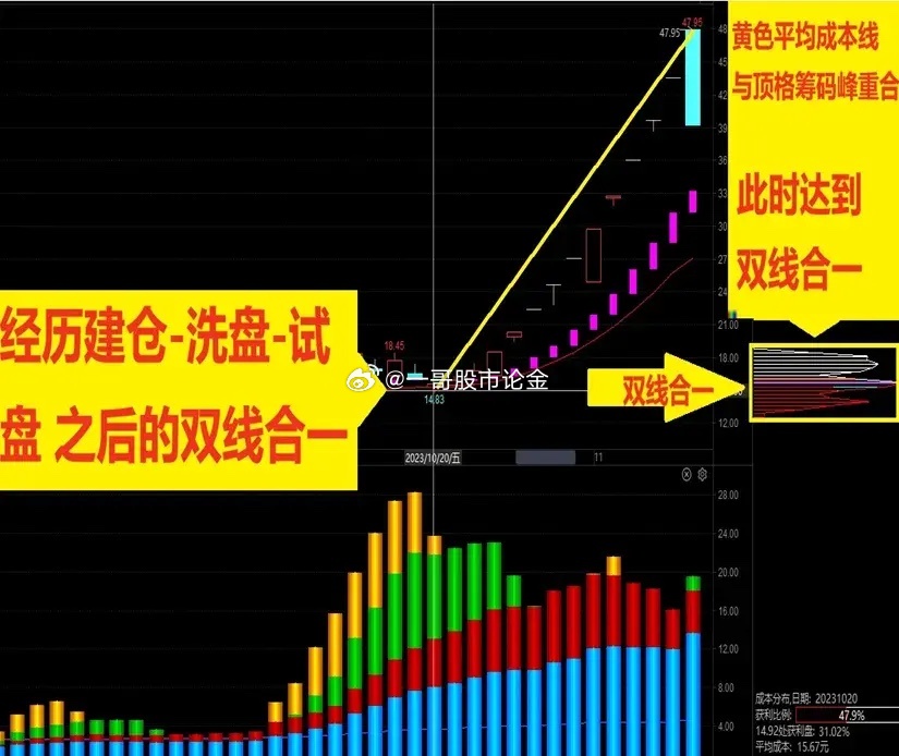 管家婆必中一肖一鸣,科技评估解析说明_iPad64.797