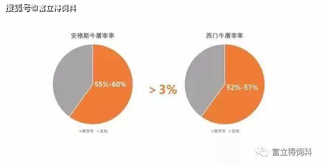 蓝色梦想 第2页