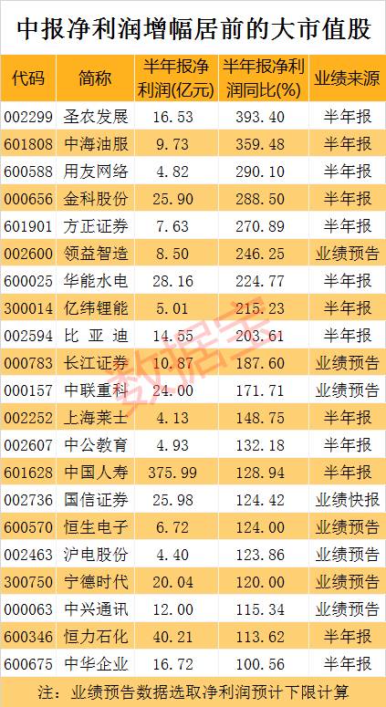 新奥开奖结果历史记录,数据解析支持计划_开发版42.792