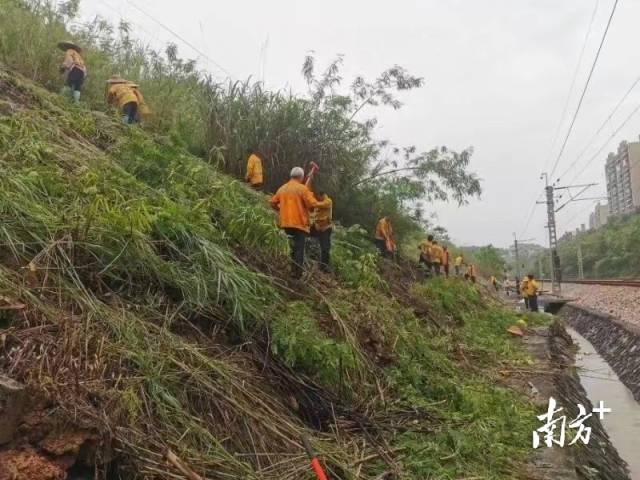 长沙洪峰最新消息，防汛工作正在紧锣密鼓进行