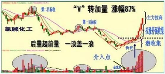 2024澳门最精准跑狗图,最佳精选解析说明_V72.760