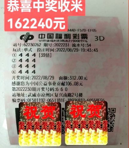 2024新澳门天天开好彩大全孔的五伏,时代解析说明_3D58.140