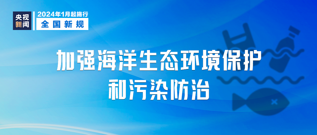 新澳门管家婆一句,快速落实方案响应_完整版80.406