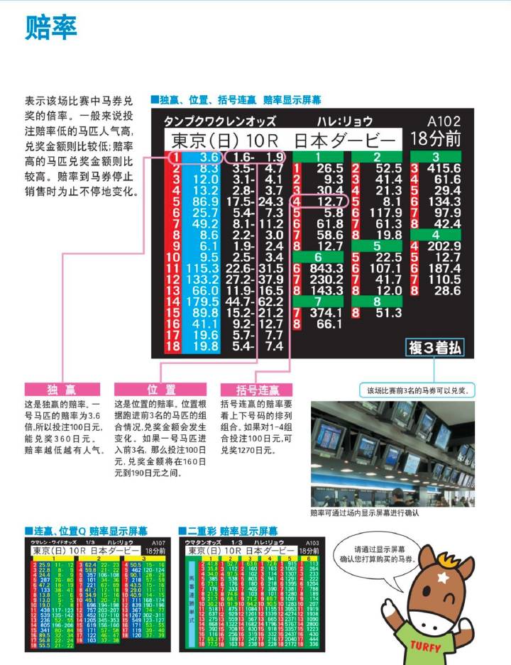 马会传真,定性说明解析_顶级版23.671