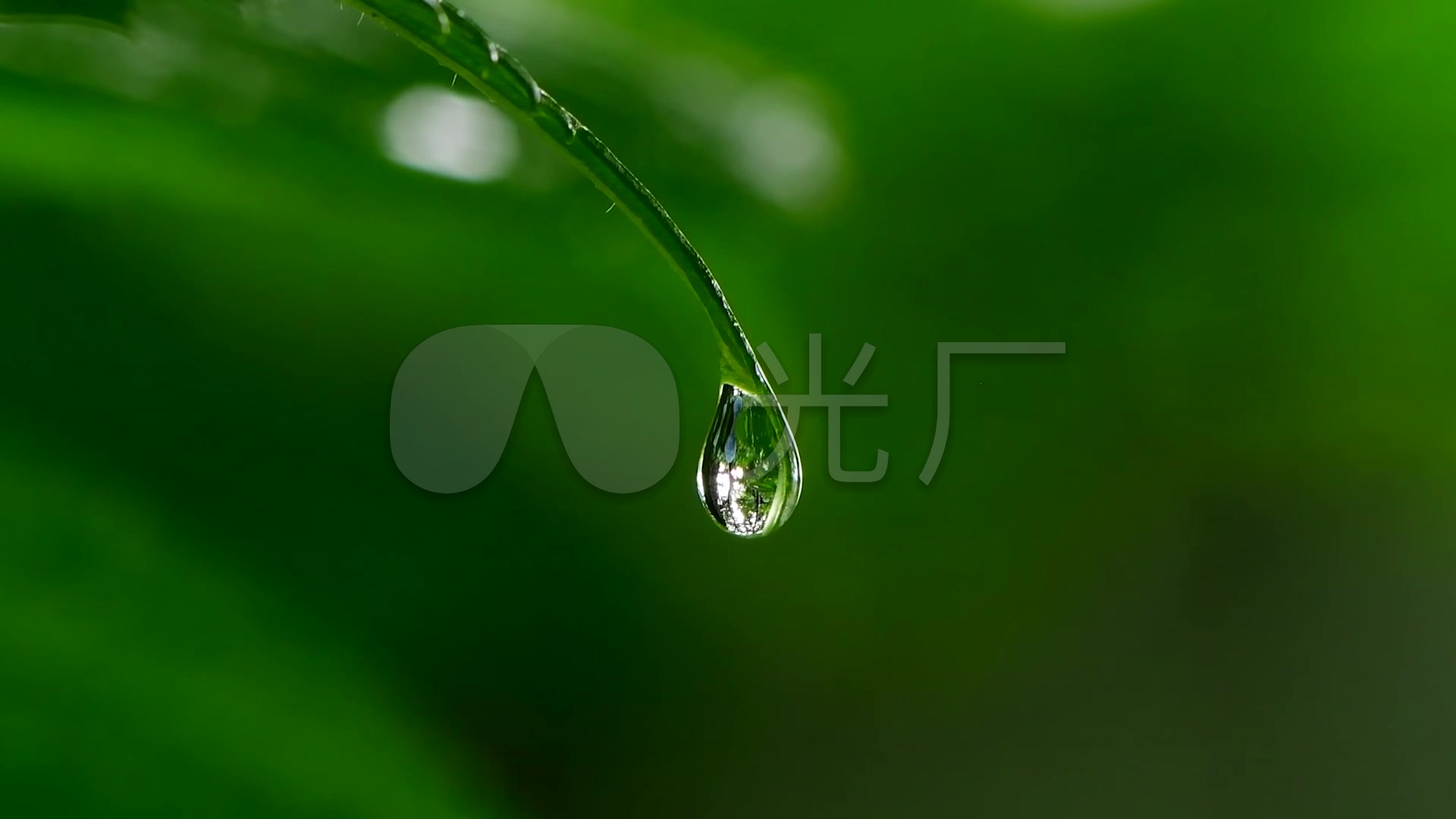 下载雨滴声，全新听觉之旅开启