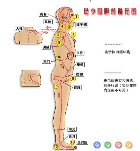 照胆经下载，探索与实践之旅