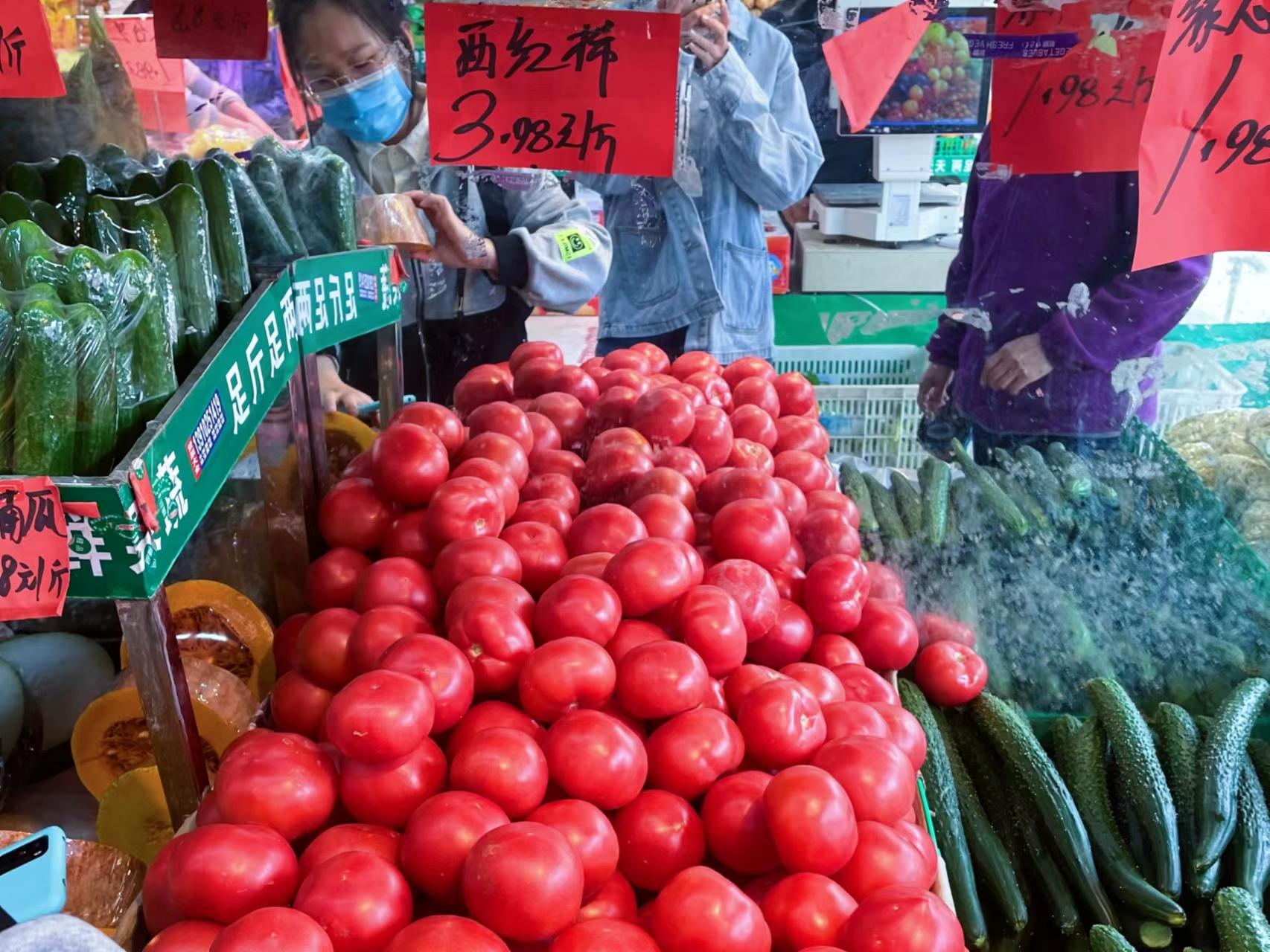 今日西红柿市场行情及价格走势分析，最新价格、市场走势与影响因素探讨