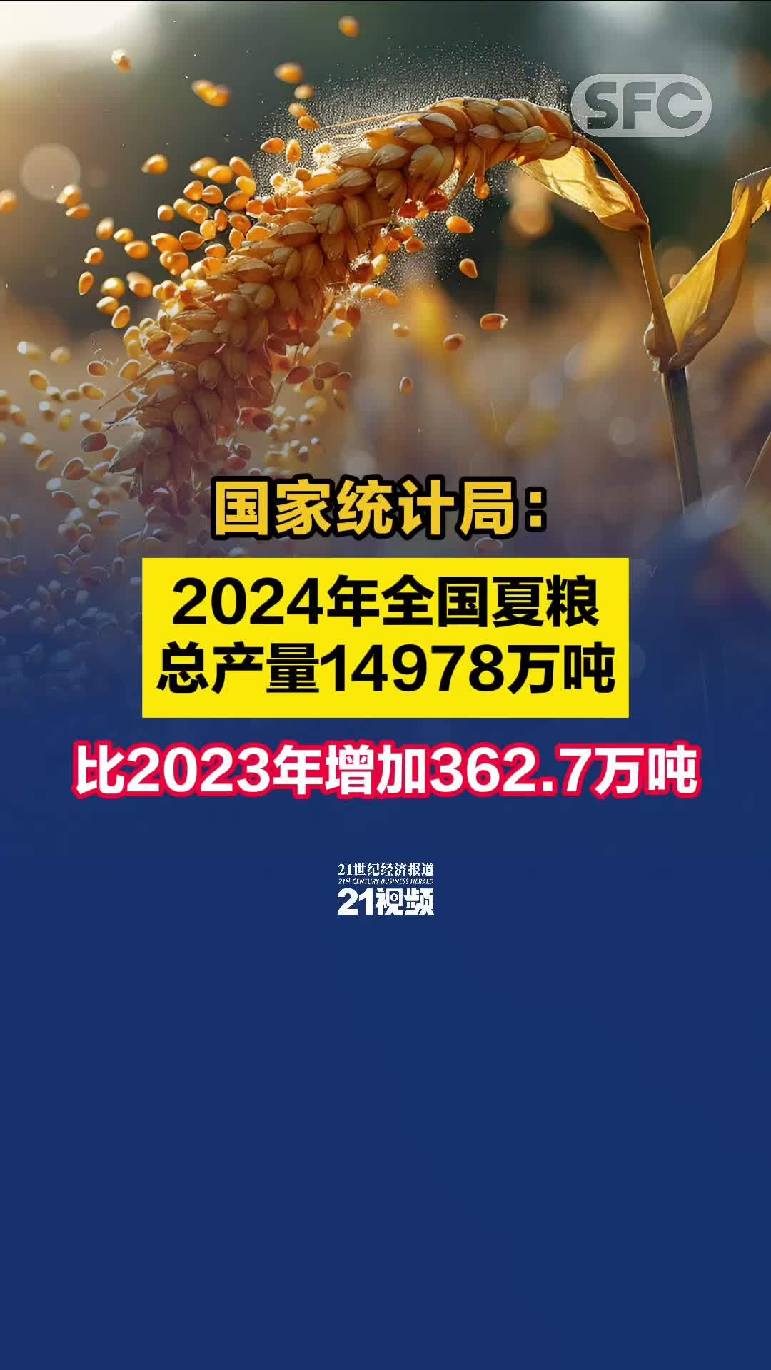 2024澳门天天六开彩记录,综合分析解释定义_3DM89.362