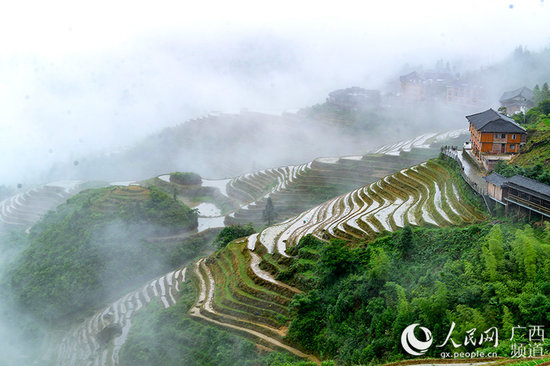 寨画下载，探索与体验之旅