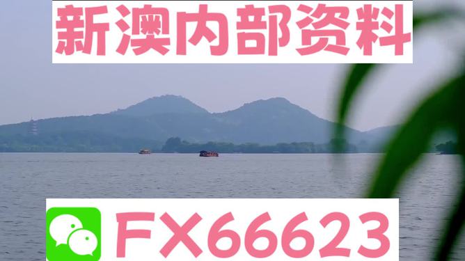 新澳2024资料大全免费,前沿研究解析_试用版15.380