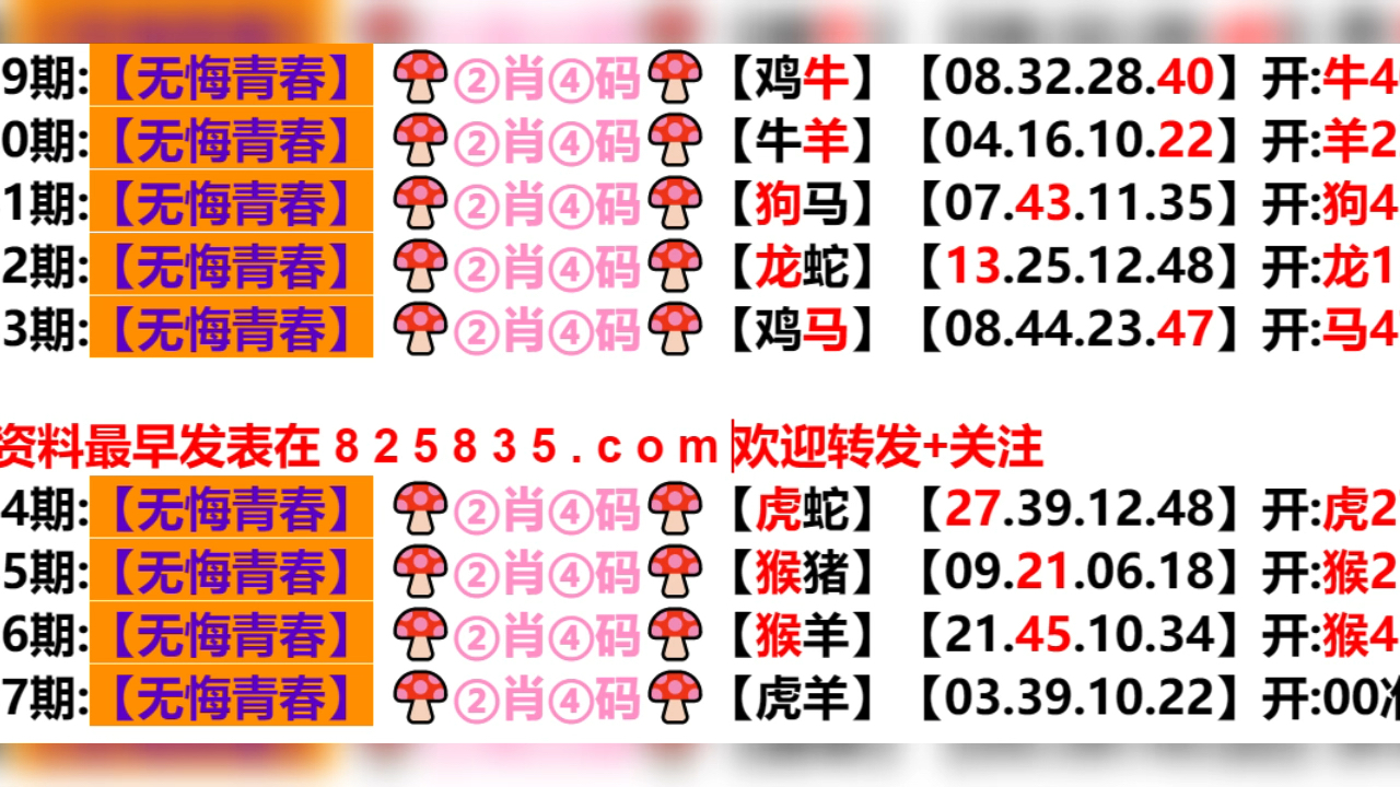 2024新奥历史开奖结果查询澳门六,效率资料解释落实_Advanced93.673