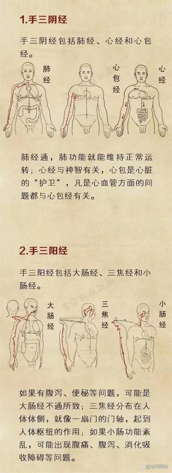 最新经络操，融合古老智慧，重塑身体活力