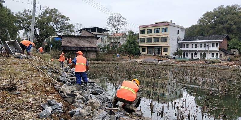 节奏大师美化包最新动态深度解析